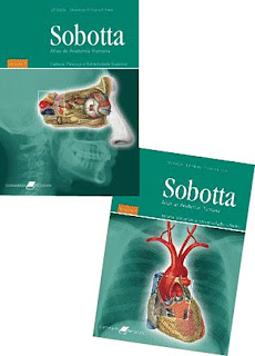 atlas de anatomia humana sobotta pdf portugues