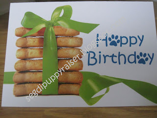 A close up of Rocky’s birthday card. It is a white card with 6 big milk bones stacked up and tied in a Kelly green colored ribbon on the left. There is a green ribbon that goes around the back of the treats and twist and covers the bottom right hand side. Right above the ribbon on the rights it says Happy birthday in blue and the a’s are paw prints.