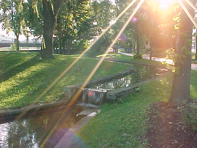 [freewebs.com]