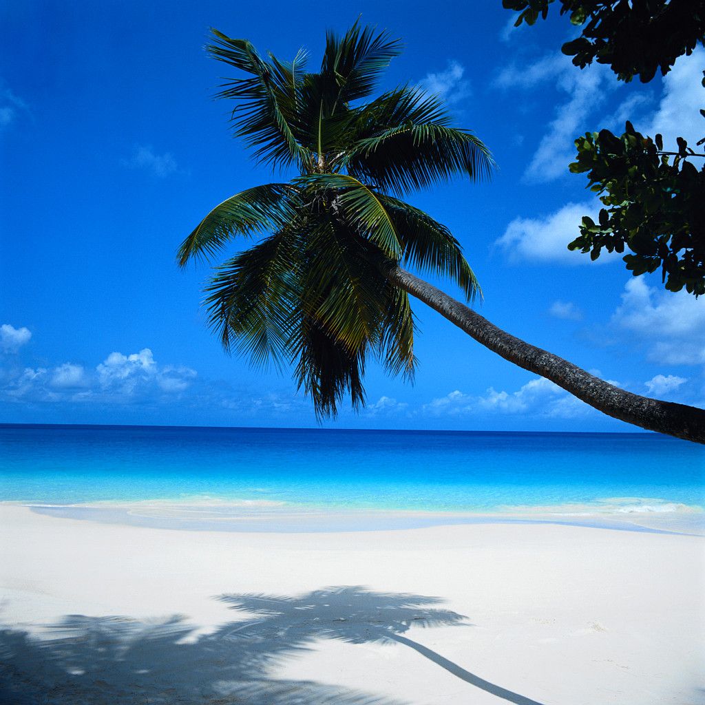 http://4.bp.blogspot.com/_7bp8a96v_GQ/TSOofG9yC9I/AAAAAAAAFeE/lF1vWSu2rcQ/s1600/Cancun-beach.jpg