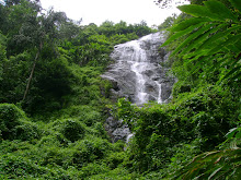 Kerala greenery in high ranges