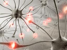 Hypotonia Developmental Delay | RM. Hypotonia Developmental Delay | RM.