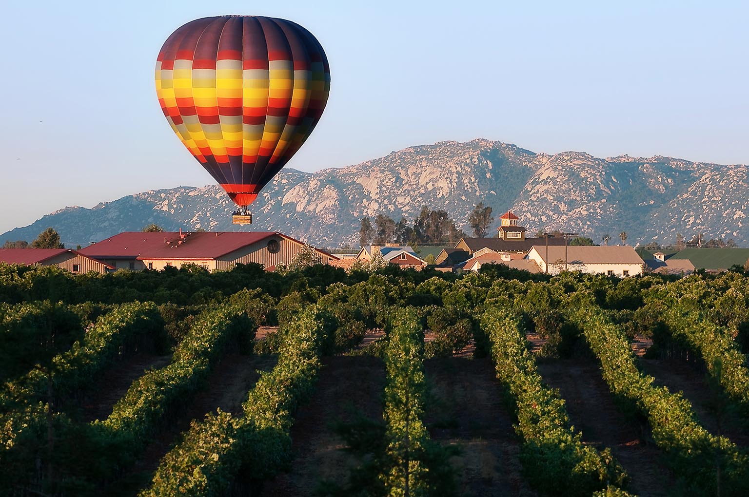 Temecula Wine Country