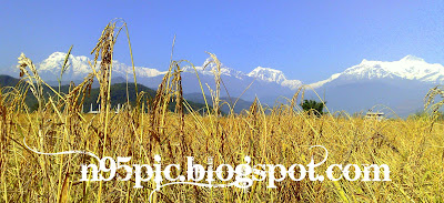 new year in pokhara
