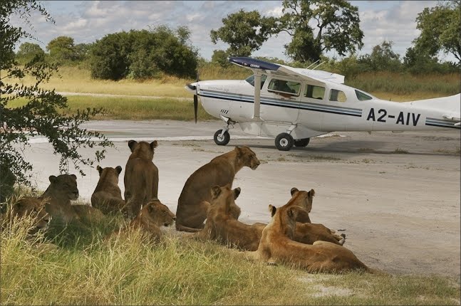 [Vumbura+Plains+1.jpg]