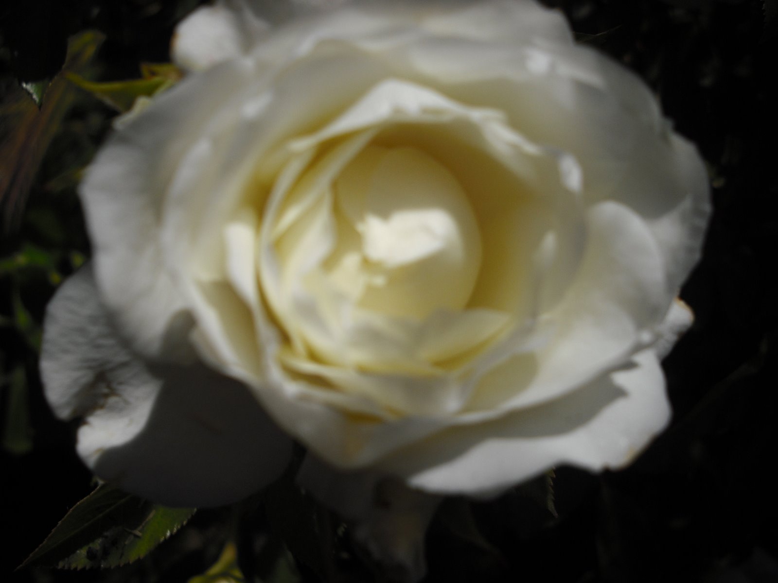 [DSCF0570.JPG]