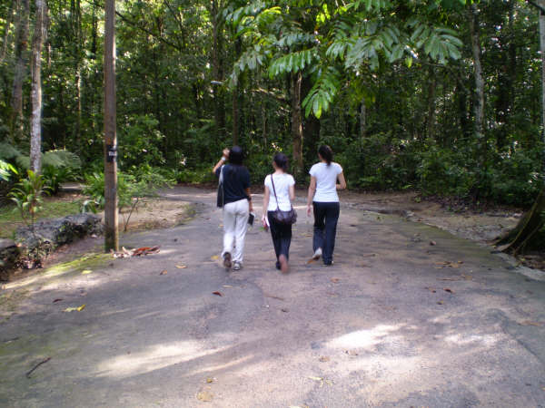 [P3140063.JPG]