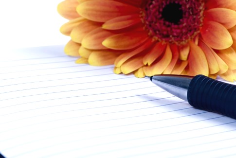 [writing_id507239_size485.jpg]