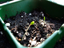 Plant Lab