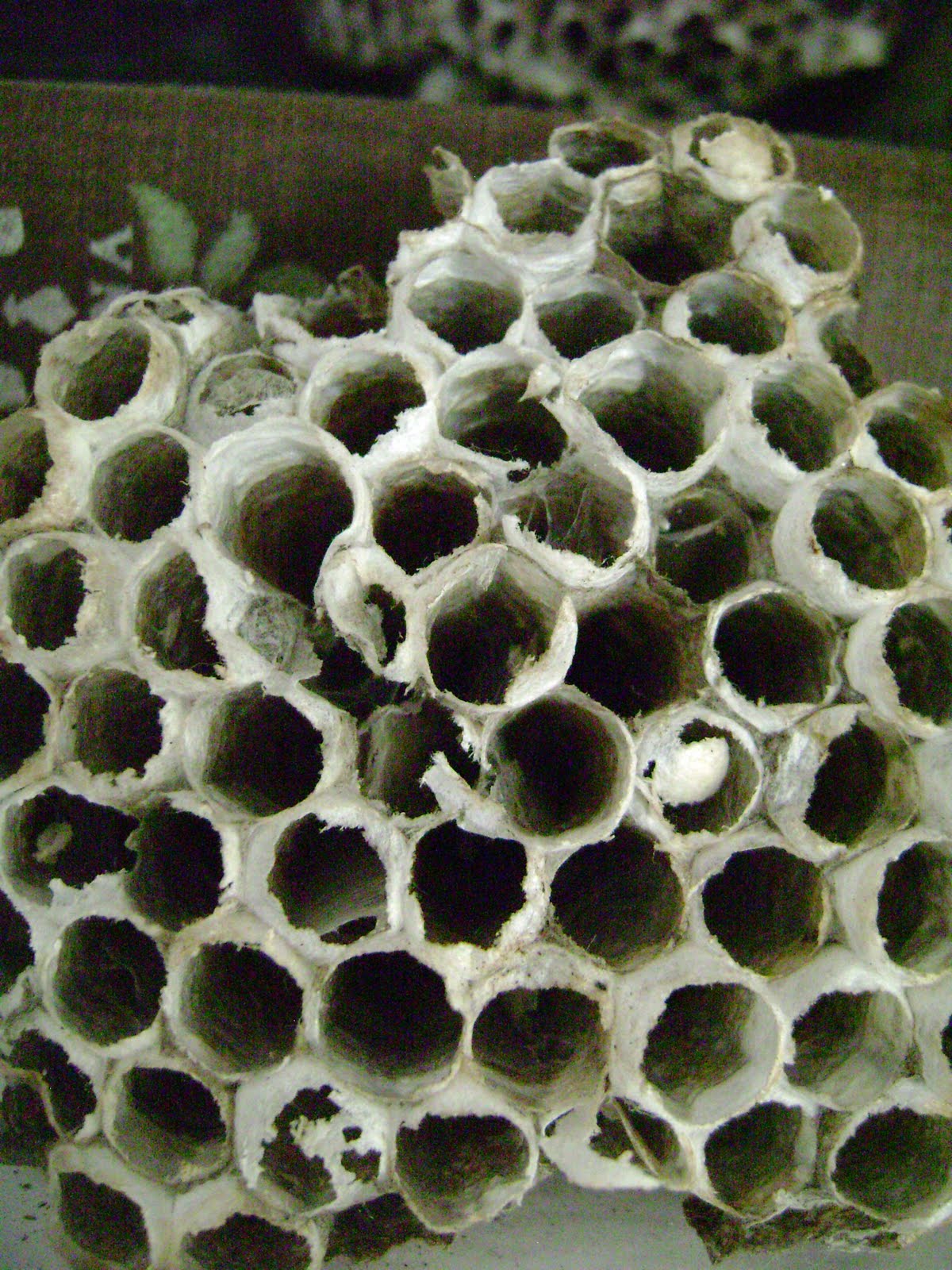 [DSC03978.JPG]