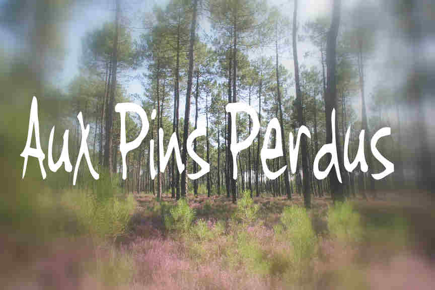 Aux Pins Perdus