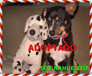 NAHUELITO ADOPTADO