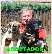 CHIARA Y MORO ADOPTADOS!!!