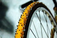 [n53121762185_8690.jpg]