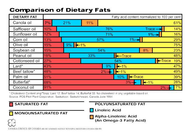 s pantry 1 1 11 2 1 11 oil fat comparison chart
