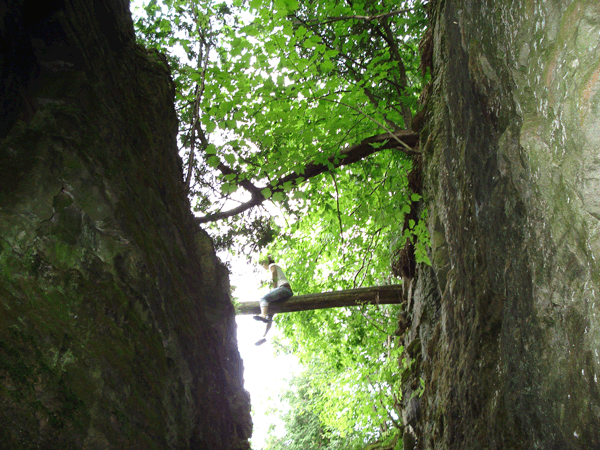 [Blog-Hart-House.gif]