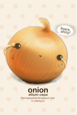 [onion.jpg]