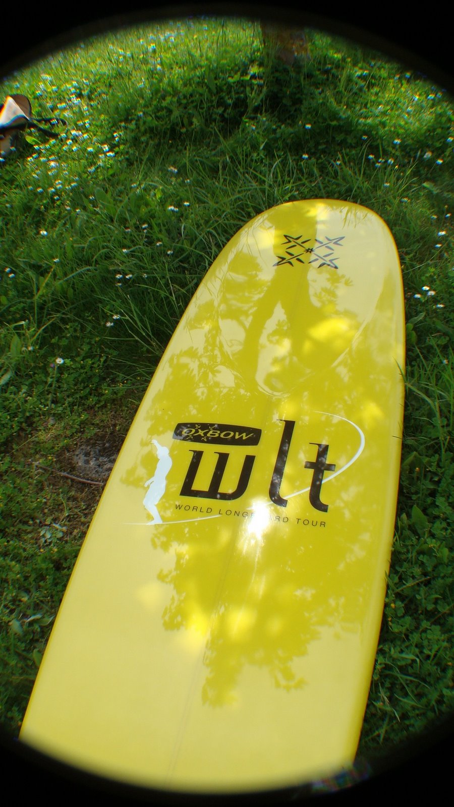 [DSC00730.JPG]