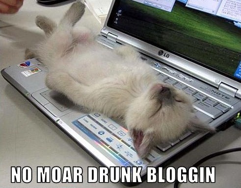 [drunkblogcat.jpg]