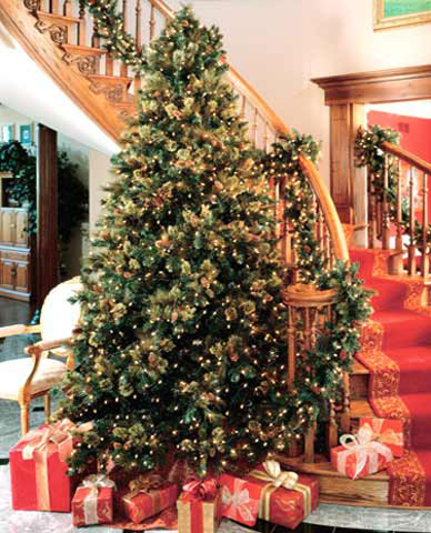 Christmas Trees Decorated Christmas Trees Decorated