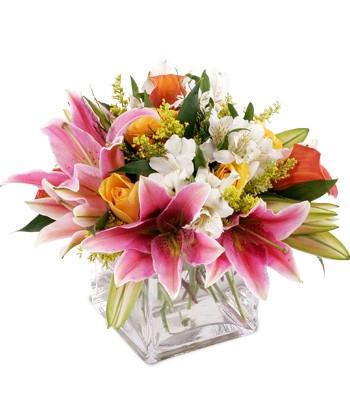 Get romantic Valentine#39;s Day love poems valentines day. Get romantic Valentine#39;s Day