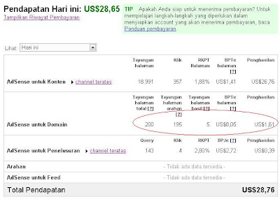 Penghasilan Adsense untuk Domain