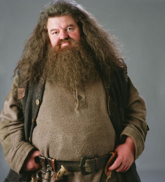 Harry Potter Mania Rúbeo Hagrid