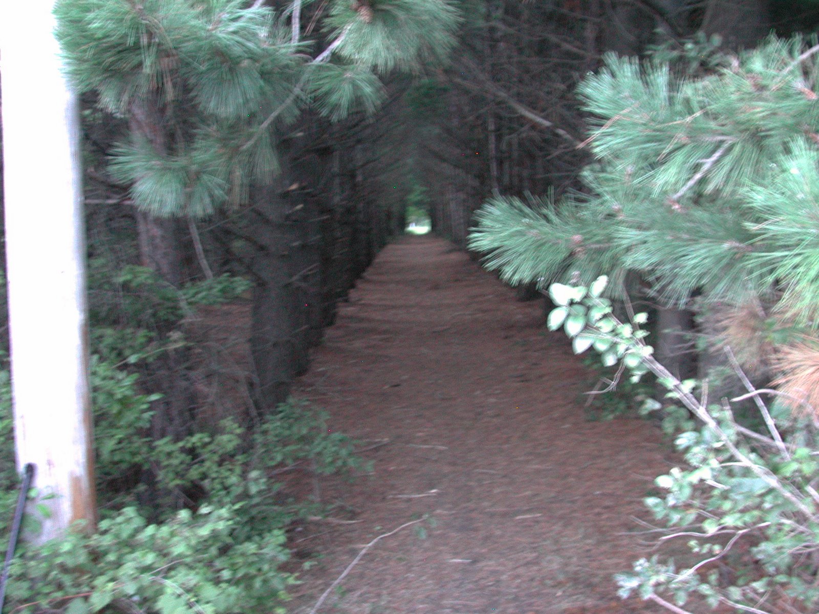 [DSCN6705.JPG]