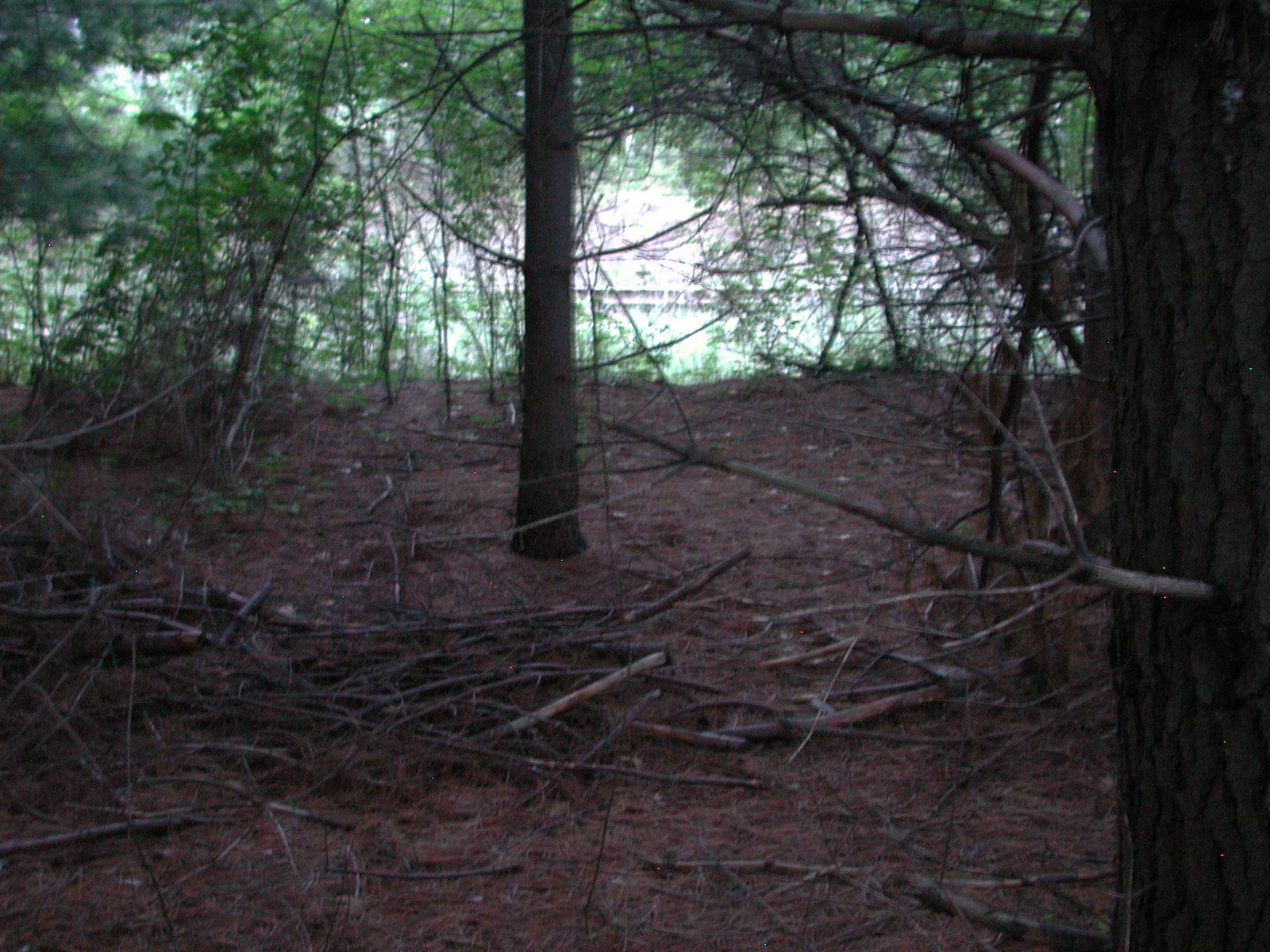 [DSCN6709.JPG]