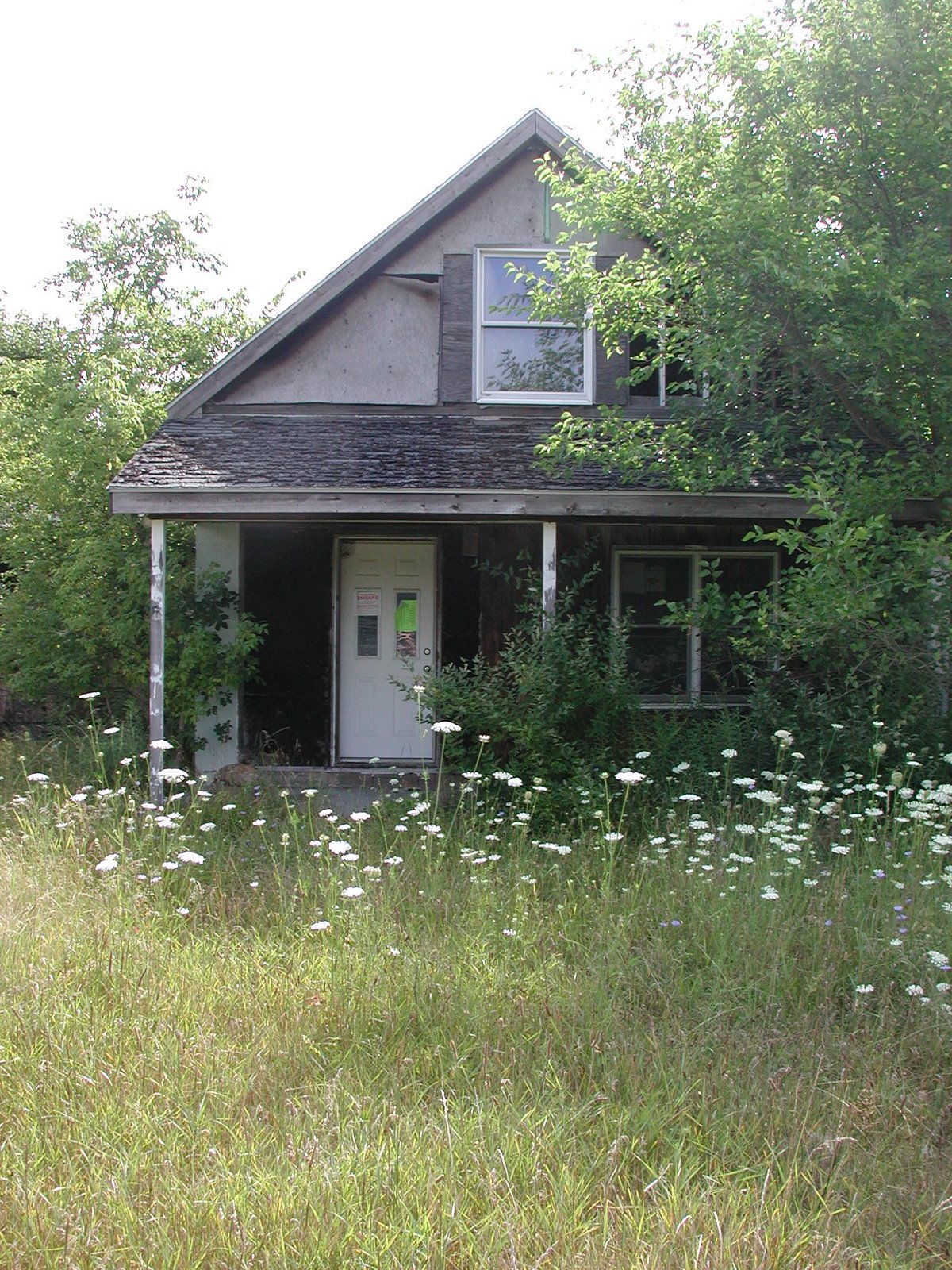[DSCN6966.JPG]
