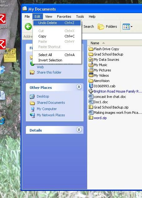 [WinExplorer+Undo.JPG]