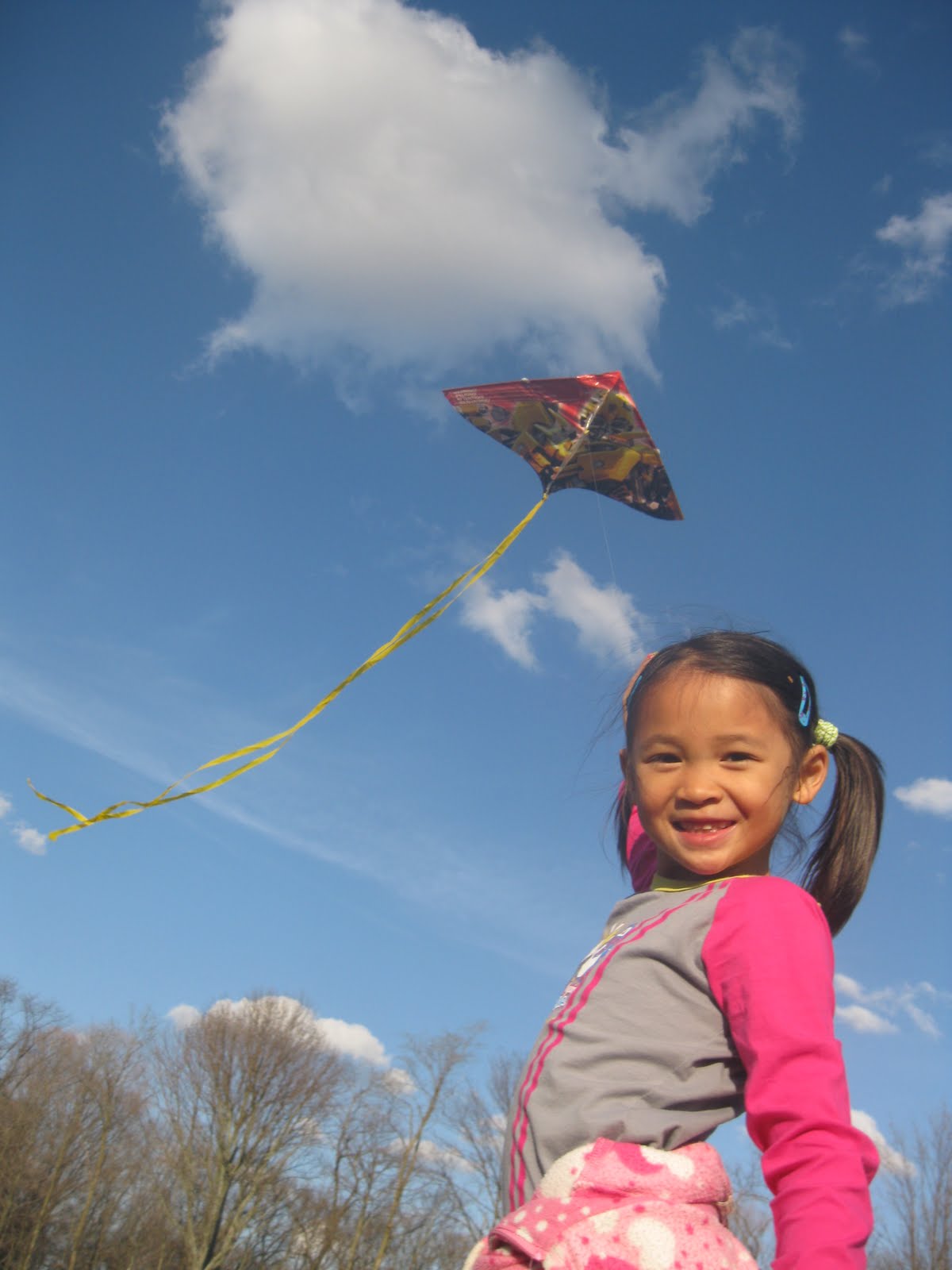 A Little Brother for B.E.L. Flying Kites in the State Park