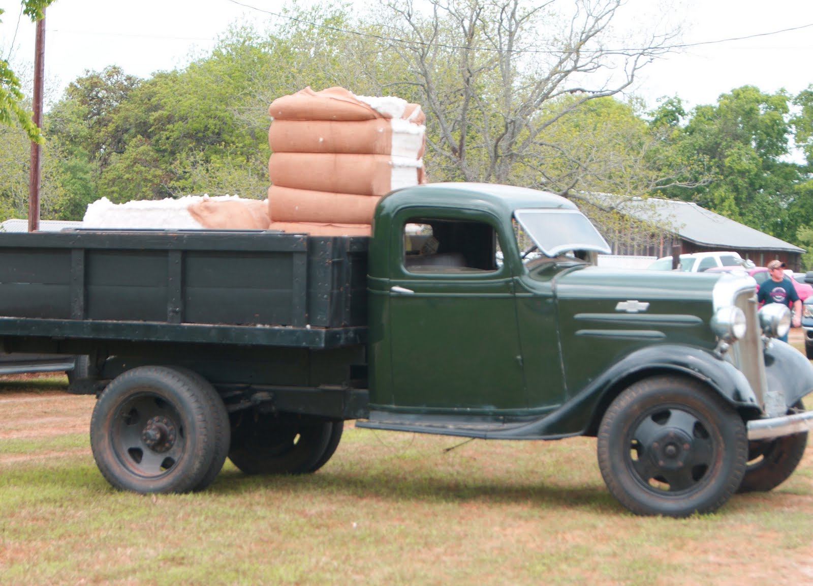 My Heart's Ease When Cotton Was KING