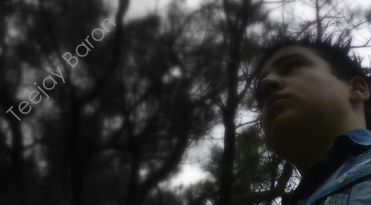 Teejay's Blog