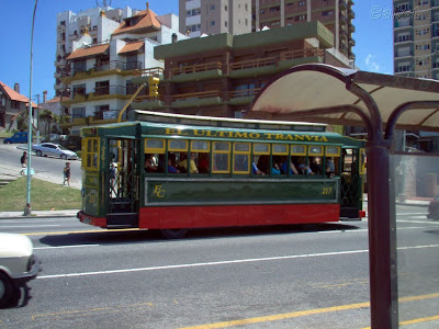 Portal de Mar del Plata - La Perla del Atlántico Mardel+6