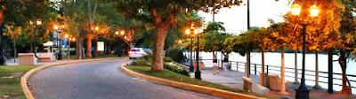 Tigre Tigre_01