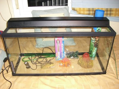 Peces – Primer Acuario Pac_03