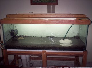 Peces – Primer Acuario Pac_08
