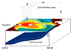 El niño II