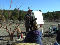 Ron Boyd discusses tree care