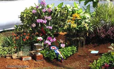 Exhibit Booth of Malvarosa Orchids