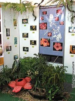 Exhibit Booth of Philippine Native Plants Conservation Society