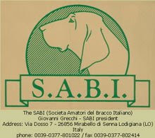 S.A.B.I.