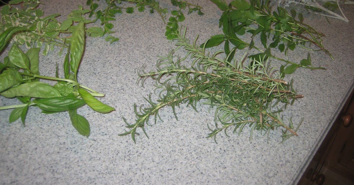 Elizabeth & Co. Fresh Herb Wreath