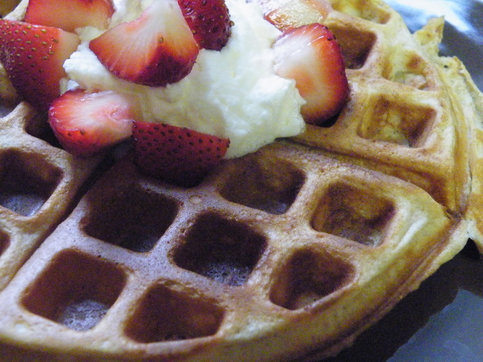 Vittles and Bits Whole Wheat Yogurt Waffles