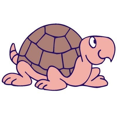 ▷ ¡Cómo mola mi caparazón! - Un divertido cuento de una tortuga muy  especial. Libro infantil a partir 5 - 6 años
