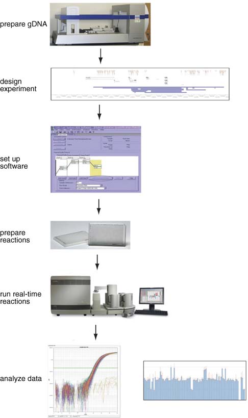 reaction time experimental design reaction time experimental design