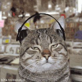 [user756_1172297365.gif]