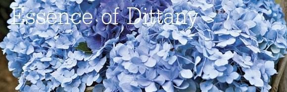 Essence of Dittany