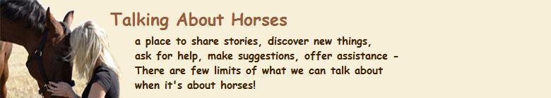 Talking About Horses